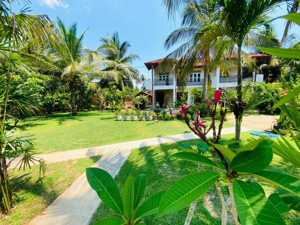 Optimum Residencies Bed & Breakfast Negombo Ngoại thất bức ảnh